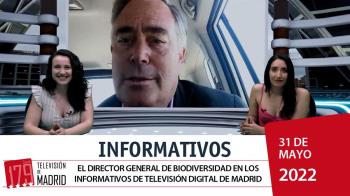 Conexiones, noticias y toda la actualidad regional y local en Televisión Digital de Madrid