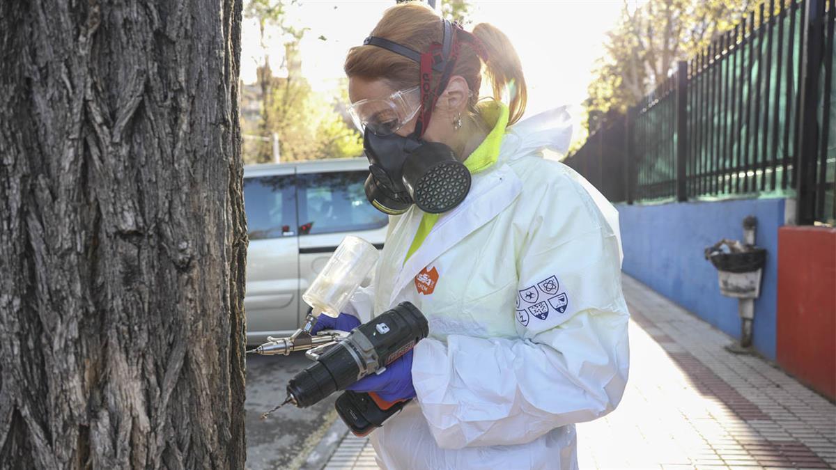 Las labores de control de la proliferación de este insecto se prolongarán hasta el mes de julio