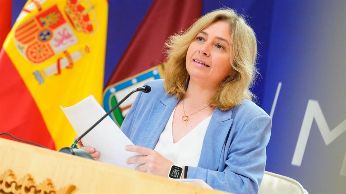 Inmaculada Sanz se ha dirigido a la oposición para acusarla de “intoxicar” en la capital