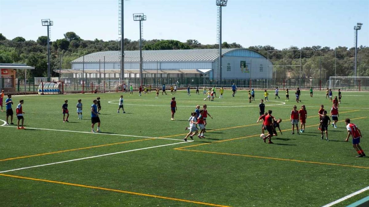 El orden está determinado por el número que salió en el sorteo 