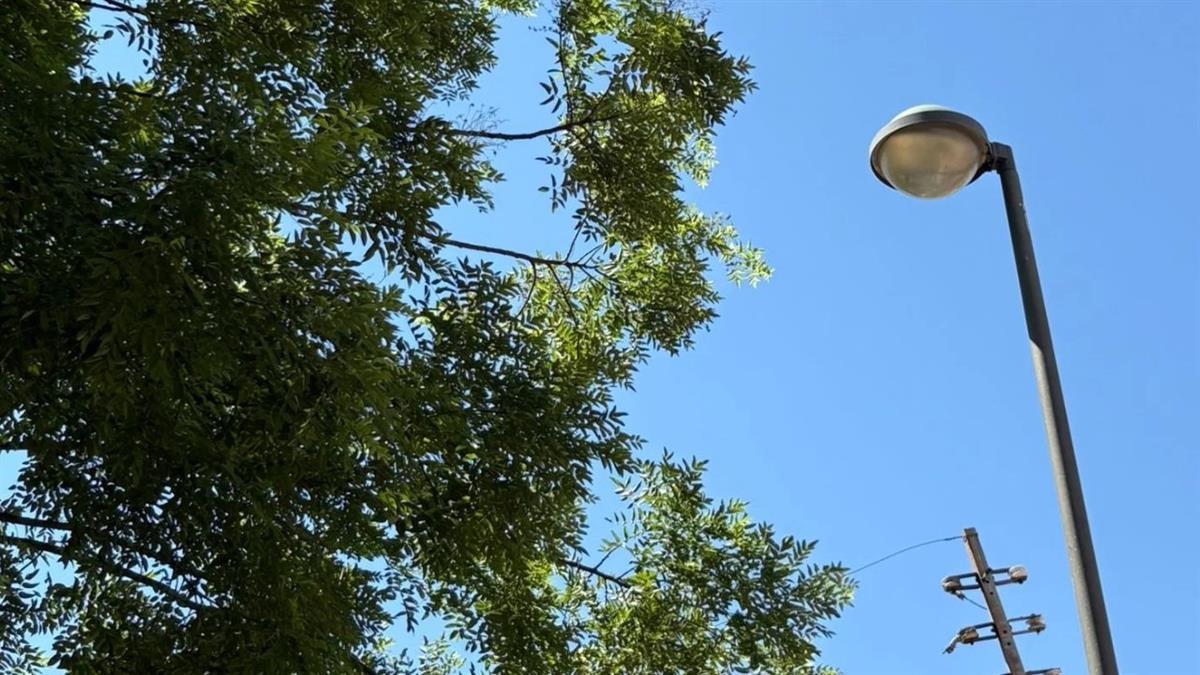 La empresa Elecnor Servicios y Proyectos S.A.U la renovación de todo el alumbrado público de la localidad