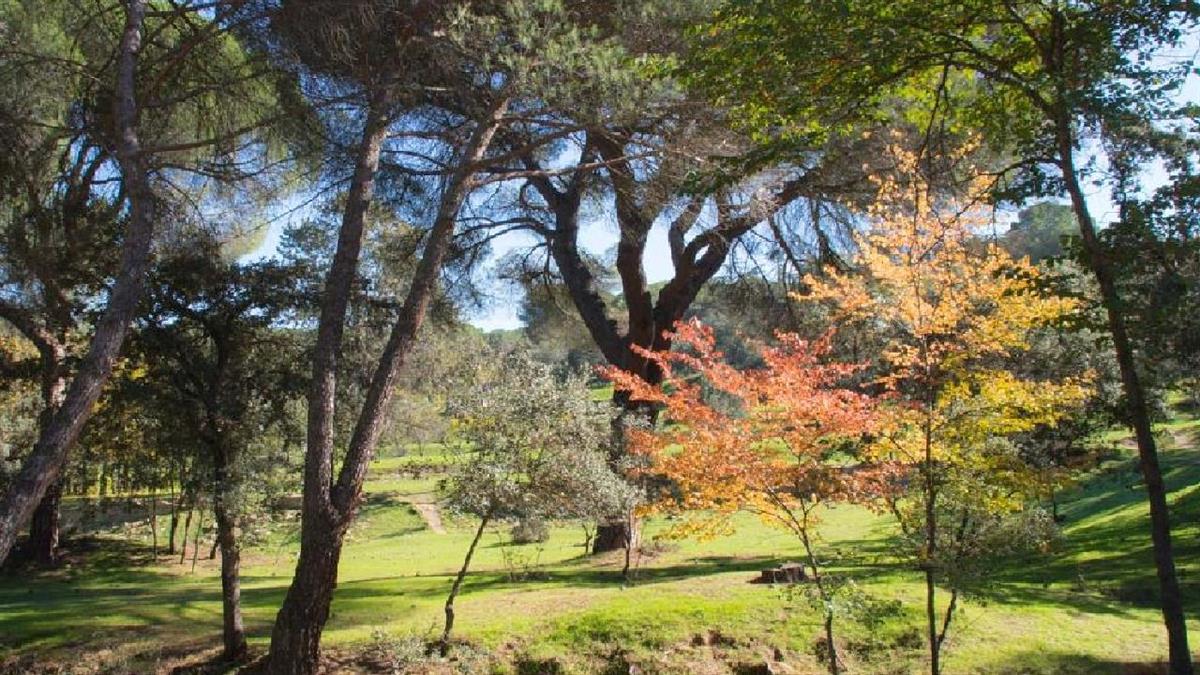 El objetivo es optimizar los recursos destinados a la protección de este pulmón verde