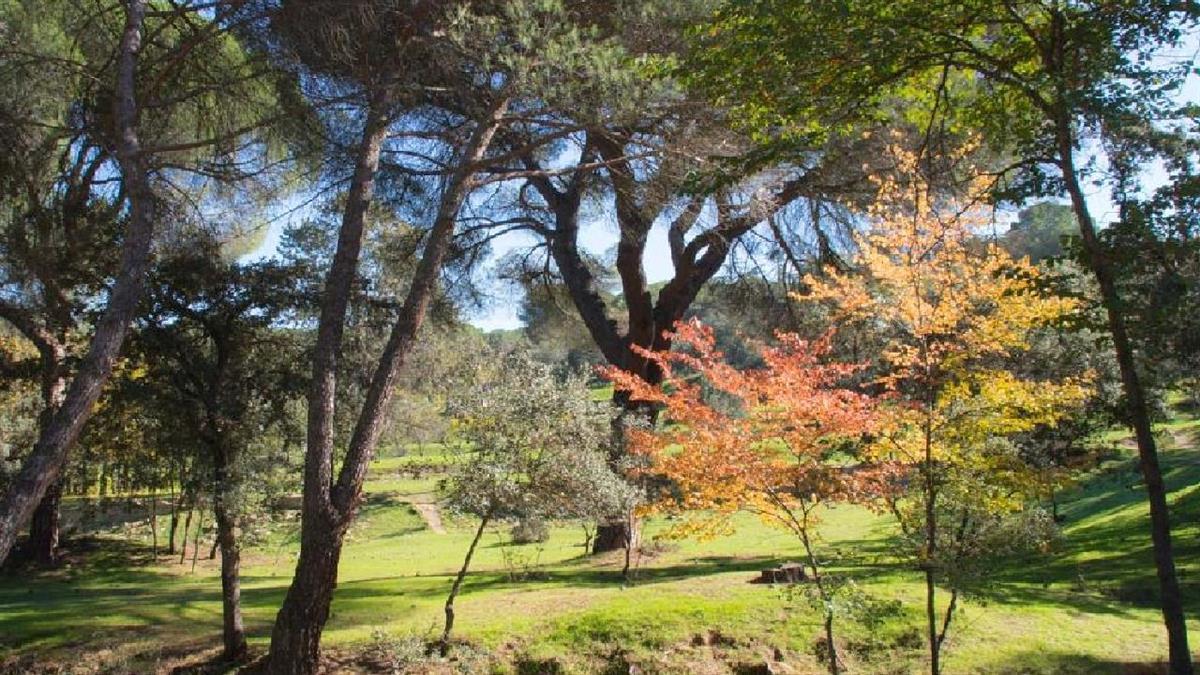 El objetivo es optimizar los recursos destinados a la protección de este pulmón verde