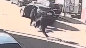 Las imágenes fueron publicadas en la cuenta de SocialDrive en la red social X