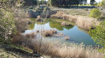 La actuación la ha llevado a cabo el turno de noche de la Unidad de Policía Local de Perales del Río