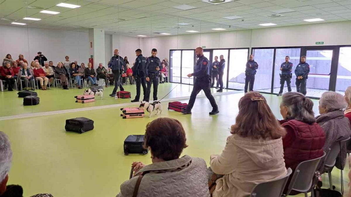 Los programas de inclusión social y voluntariado municipales trabajan por el bienestar de mascotas y de animales involucrados en terapias