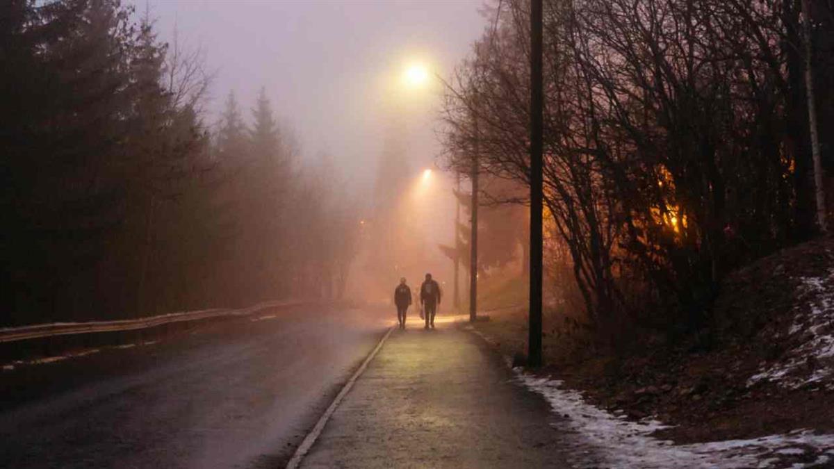 El Consejo de Gobierno ha adjudicado este servicio con motivo de la Campaña de Frío 2024