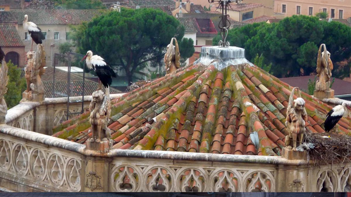 Se harán actuaciones en las tres diócesis de la región