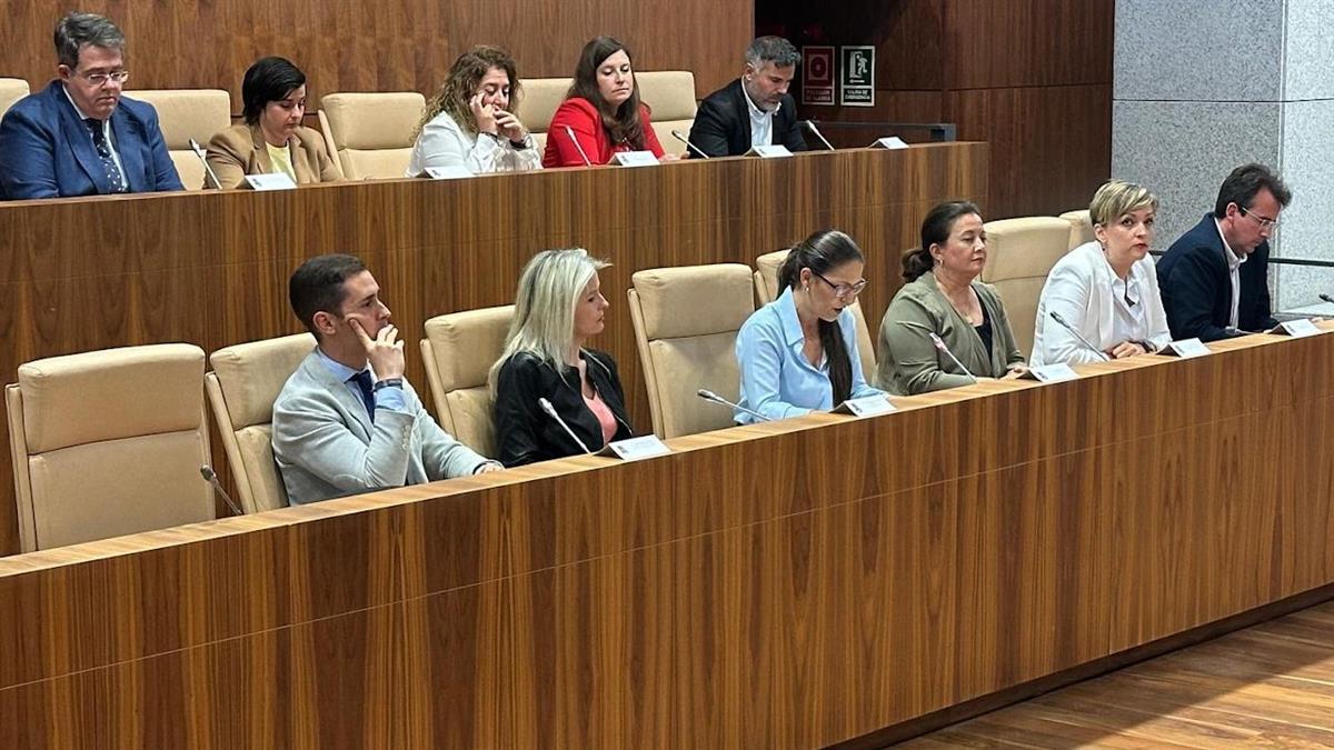 Entre los proyectos destacan obras en las aceras de Leganés Norte, cambio de luminarias, climatización de escuelas infantiles o material para la Escuela de Música