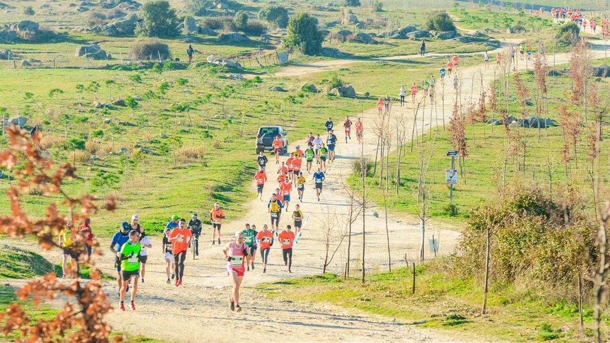 Las inscripciones para la IV edición de esta carrera popular estarán abiertas a partir del 1 de noviembre 