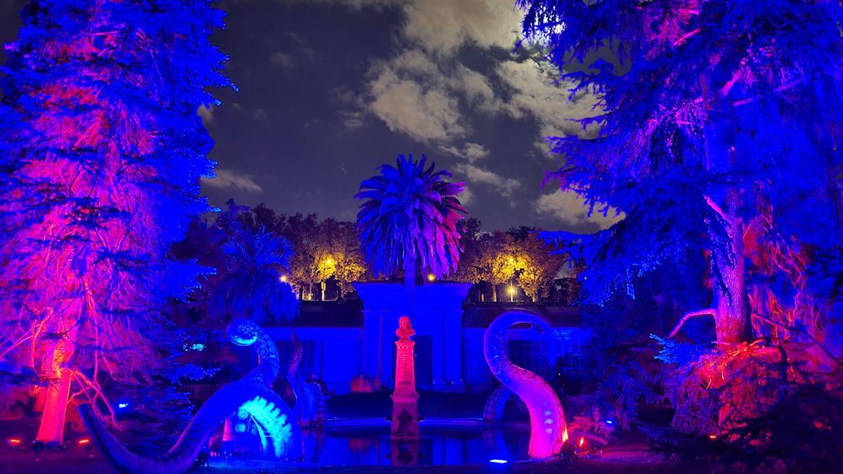 La Concejalía de Mayores organiza esta paseo cultural 