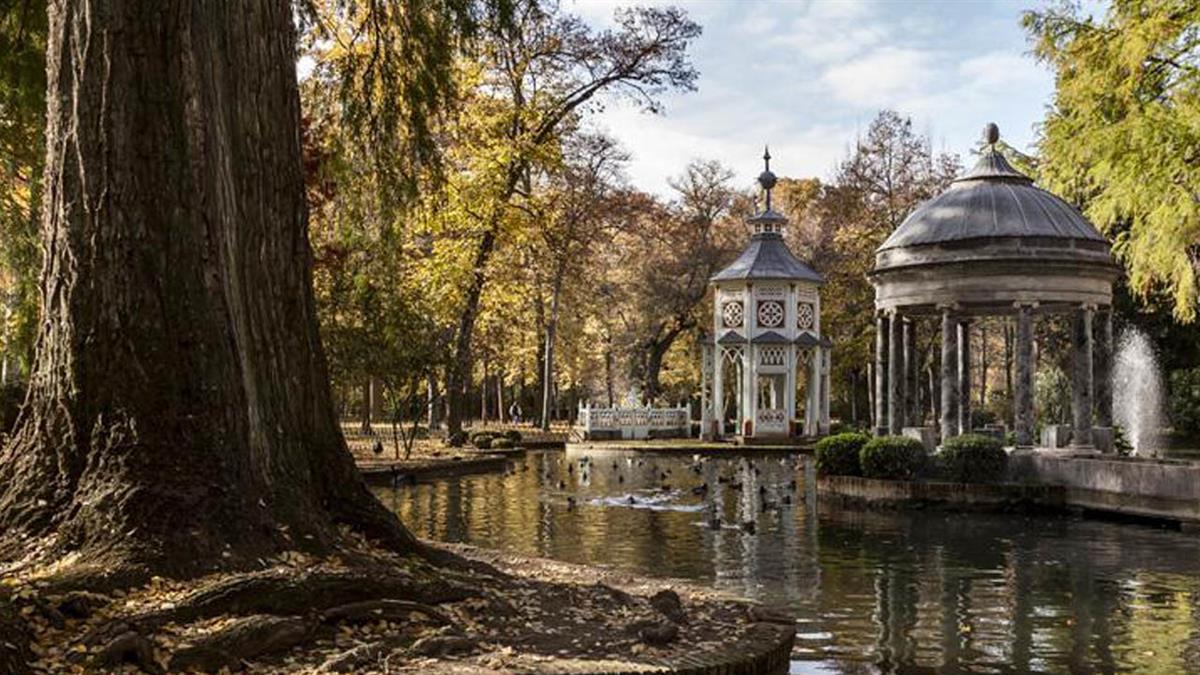 Lo ha sacado a concurso Patrimonio Nacional, debido a las reducciones de plantilla y la edad de la misma