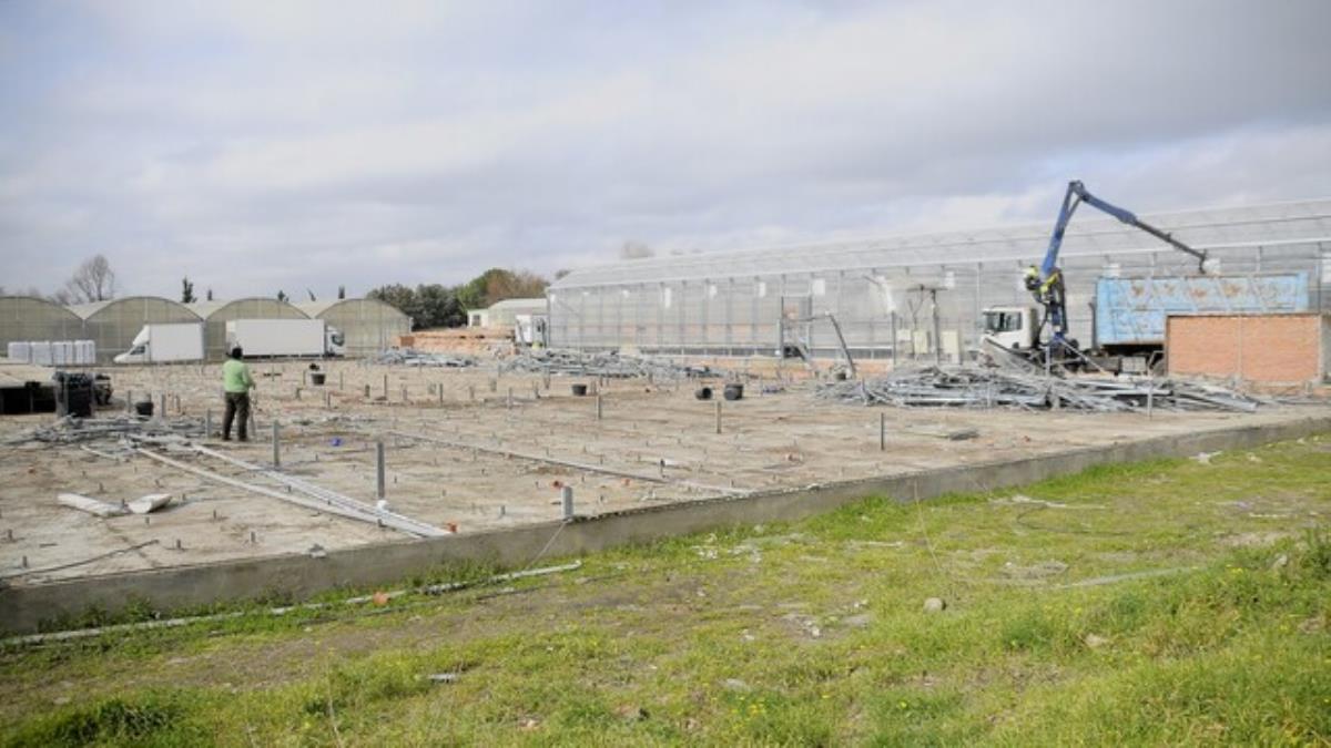 El centro especial de empleo sufrió grandes destrozos en sus viveros durante la borrasca Filomena