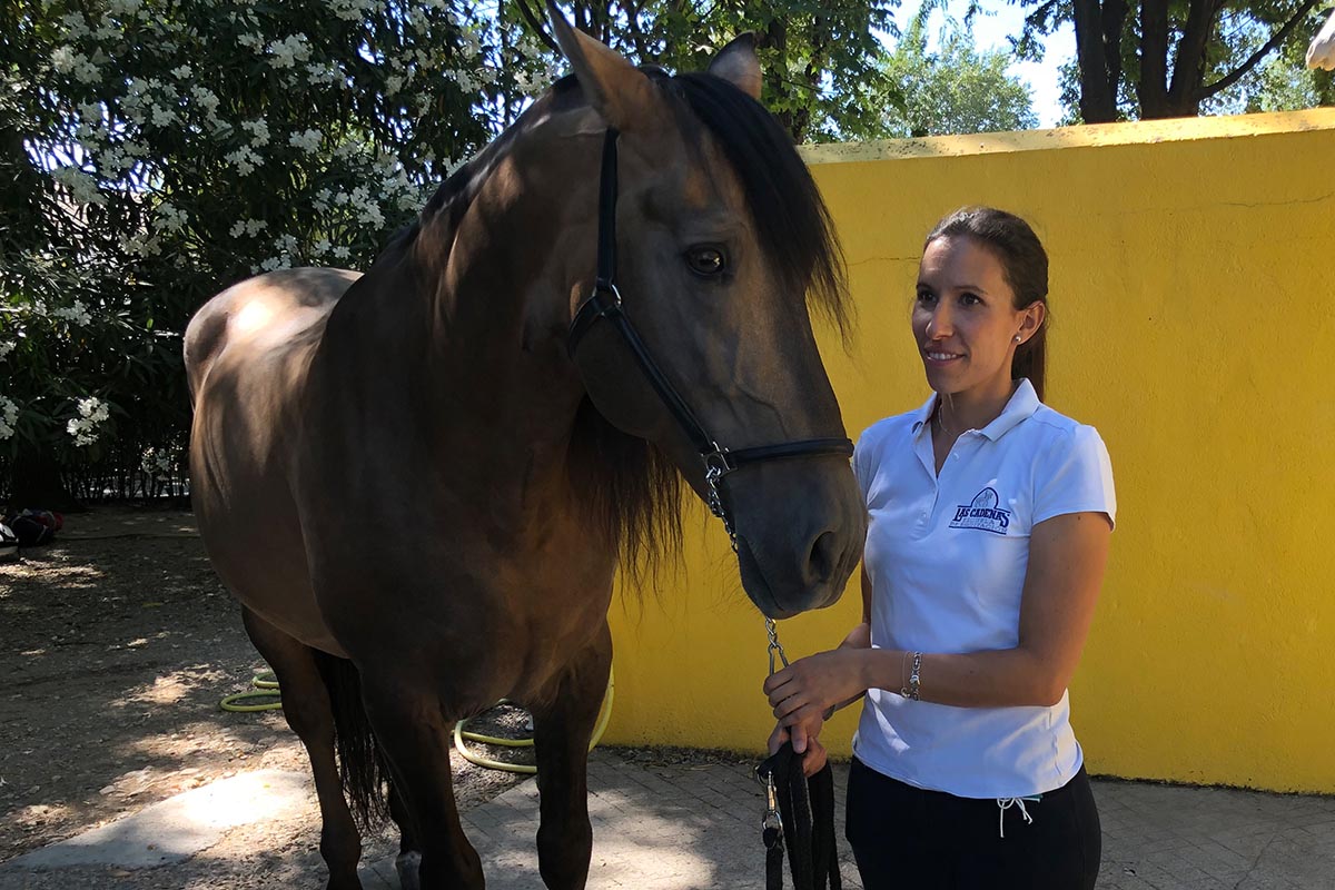 Disponible miel Plata Jimena Ortiz López: "El mundo del caballo es tan bonito que te acepta a  cualquier edad" | SoyDe
