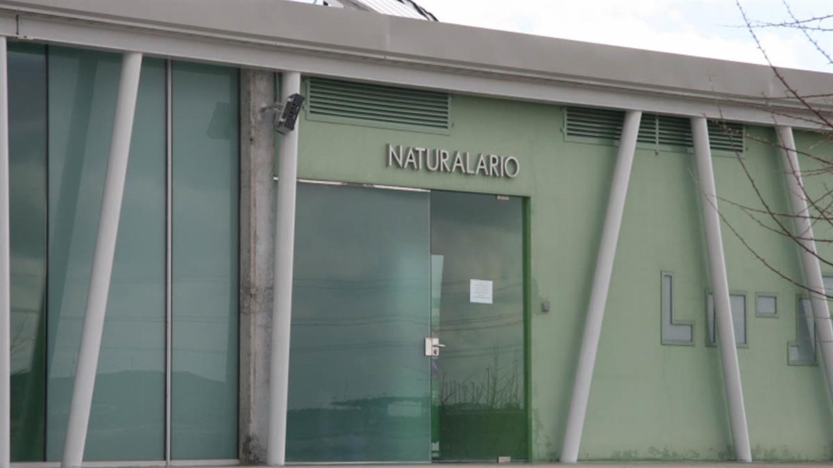 Asociaciones ecologistas denuncian que el Arroyo Ambroz es ahora un cauce seco en el que se acumula la basura