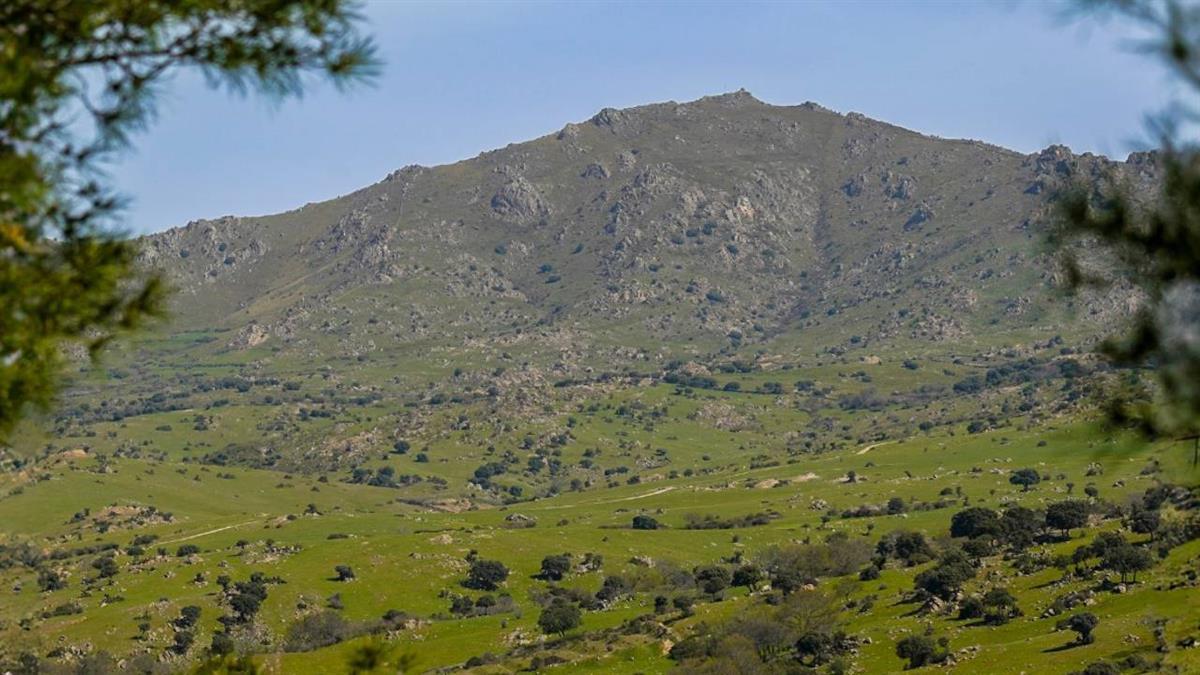 El viernes 12 y el sábado 13 de abril se celebran ‘Las Noches de la Dehesa’