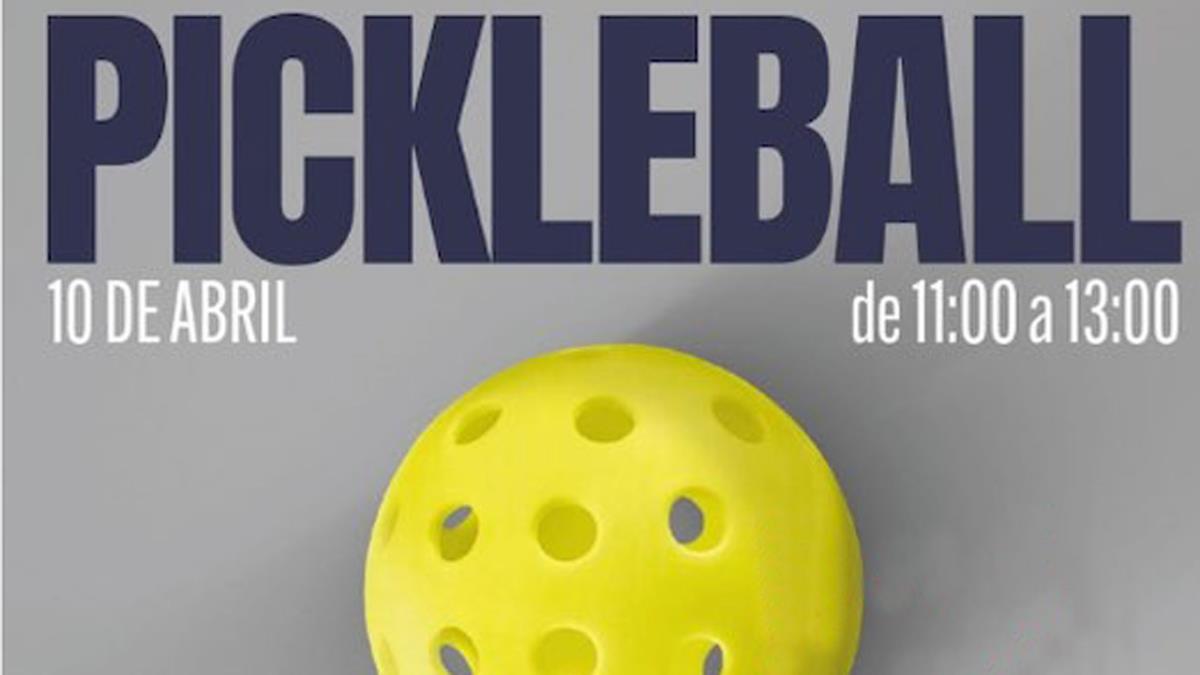 Se trata de un deporte que reúne elementos del tenis, del pádel, del bádminton y del ping pong