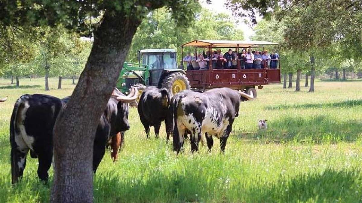 Estas jornadas ponen el foco en la sostenibilidad, la innovación y el reto de la comunicación