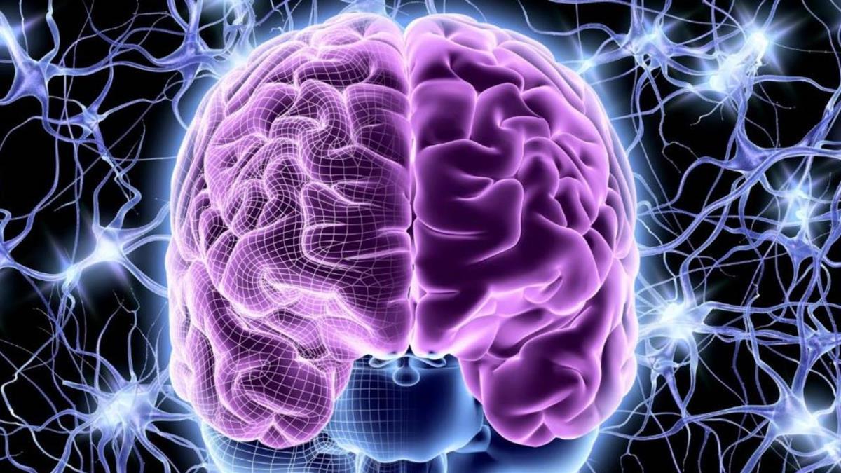 Será el 1 de marzo en el Centro Municipal de Servicios Rosa Luxemburgo