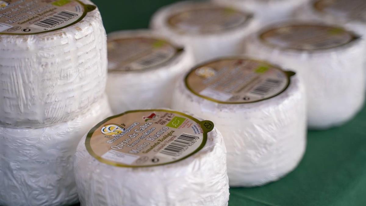 Los escolares podrán disfrutar de Casta, una perra pastora de la raza border collie