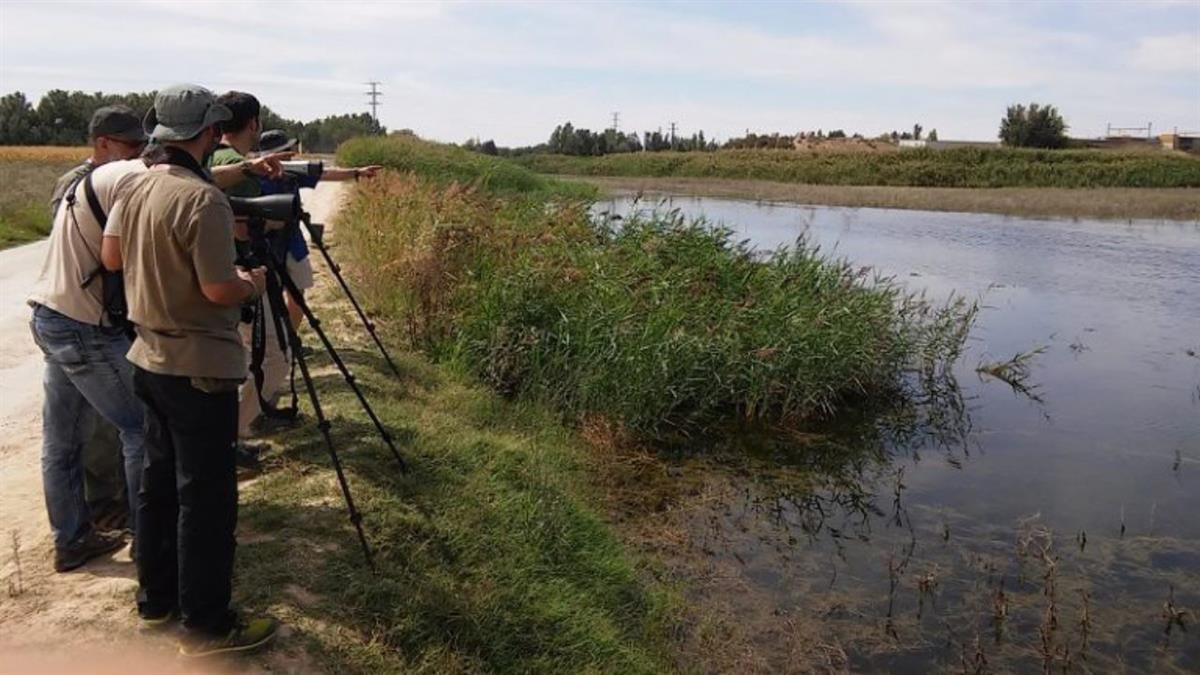 Están organizadas por diferentes departamentos del I.E.S Anselmo Lorenzo