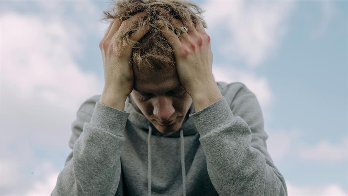 Se celebran los días 6, 20 y 27 de noviembre y la inscripción es gratuita