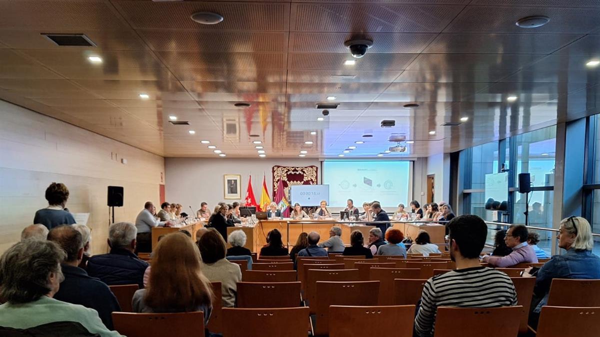 La propuesta ha sido aprobada por unanimidad en el Pleno del distrito celebrado esta tarde
