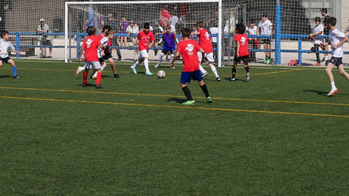 Un total de 420 equipos jugarán a fútbol 7 y 11, fútbol sala, baloncesto y voleibol