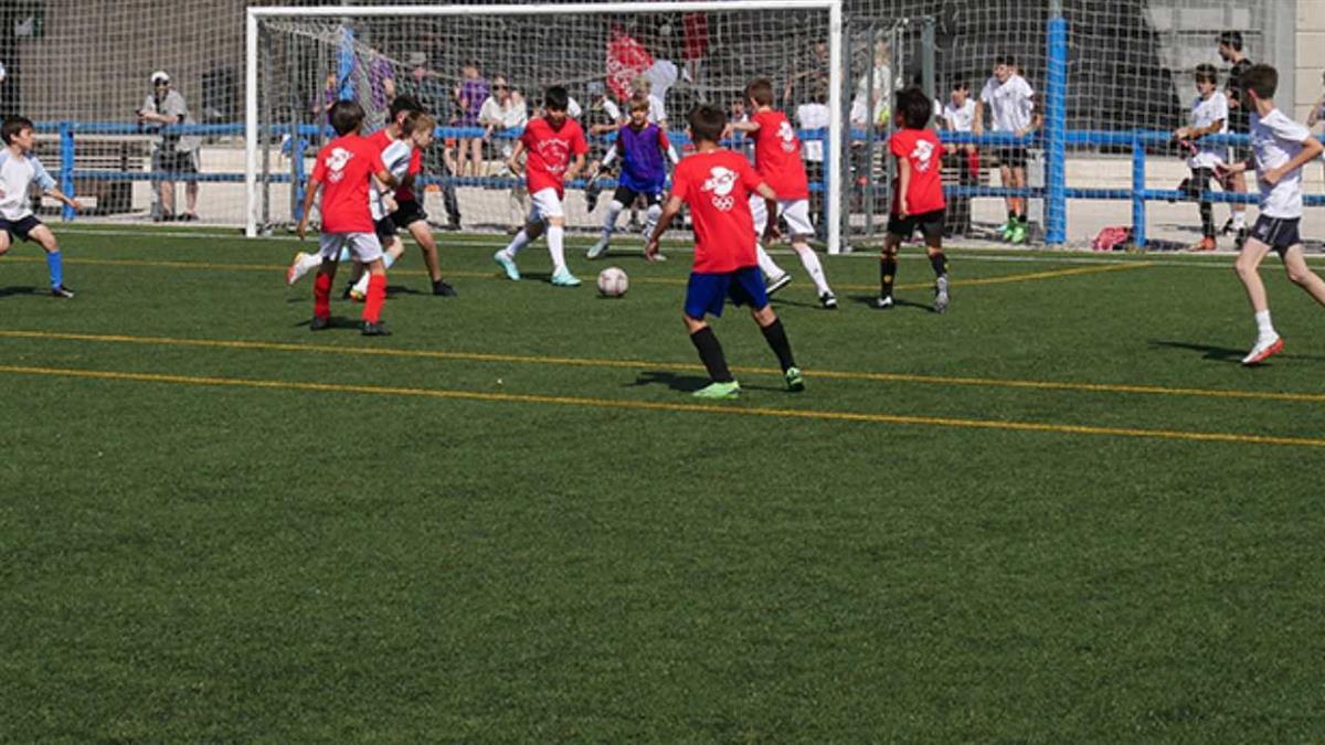 Un total de 420 equipos jugarán a fútbol 7 y 11, fútbol sala, baloncesto y voleibol
