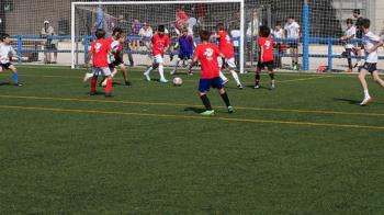 Un total de 420 equipos jugarán a fútbol 7 y 11, fútbol sala, baloncesto y voleibol