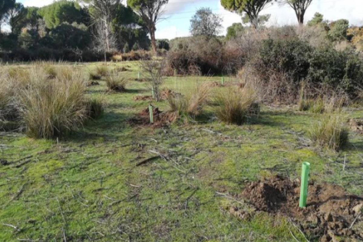 El objetivo será integrar más zonas naturales en el Arco Verde