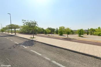 Un total de 3.924 árboles de la localidad estarán presentes en el dispositivo de conservación de la ciudad