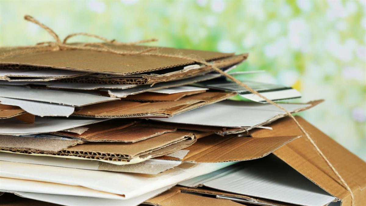 Más de 237.500 toneladas de envases domésticos recicladas en 2022