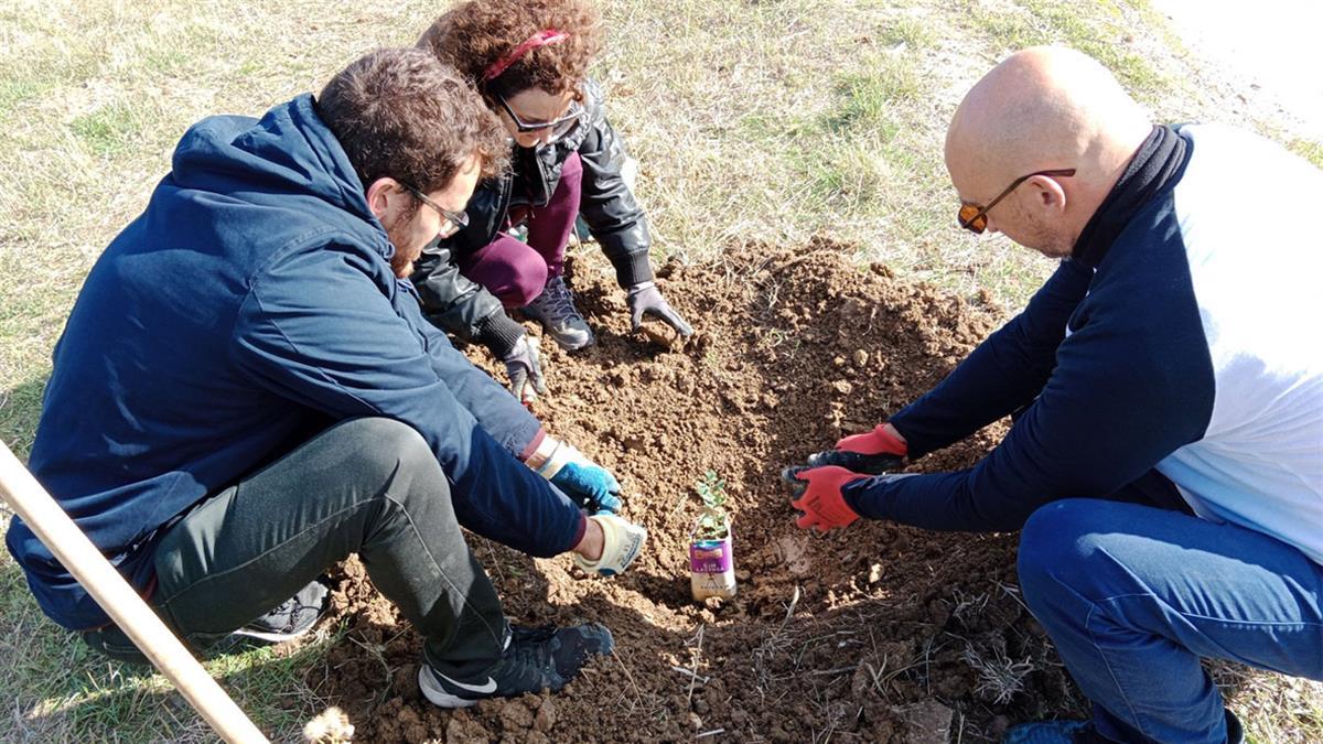 Ecologistas en Acción pide medidas para recuperarlas como "corredores ecológicos" 