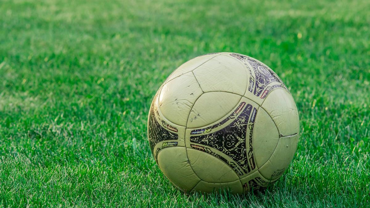 La superficie arbolada aumentará en un 40% con un total de 800 árboles y 100 arbustos y las zonas deportivas crecerán 11.000 metros cuadrados