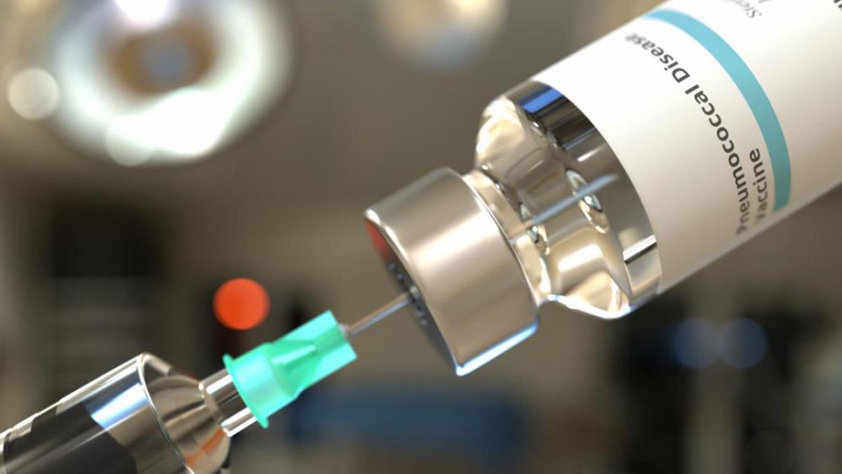 Al reducirse su llegada a la mitad durante este último mes