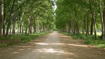 Esta actuación, solicitada por el Gobierno Local, tendrá un presupuesto de casi 80.000 euros y se ha financiado a través del Plan de Inversión Regional