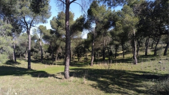 La Dehesa de Majadahonda elegida como punto de observación de fauna por la Comunidad de Madrid  
