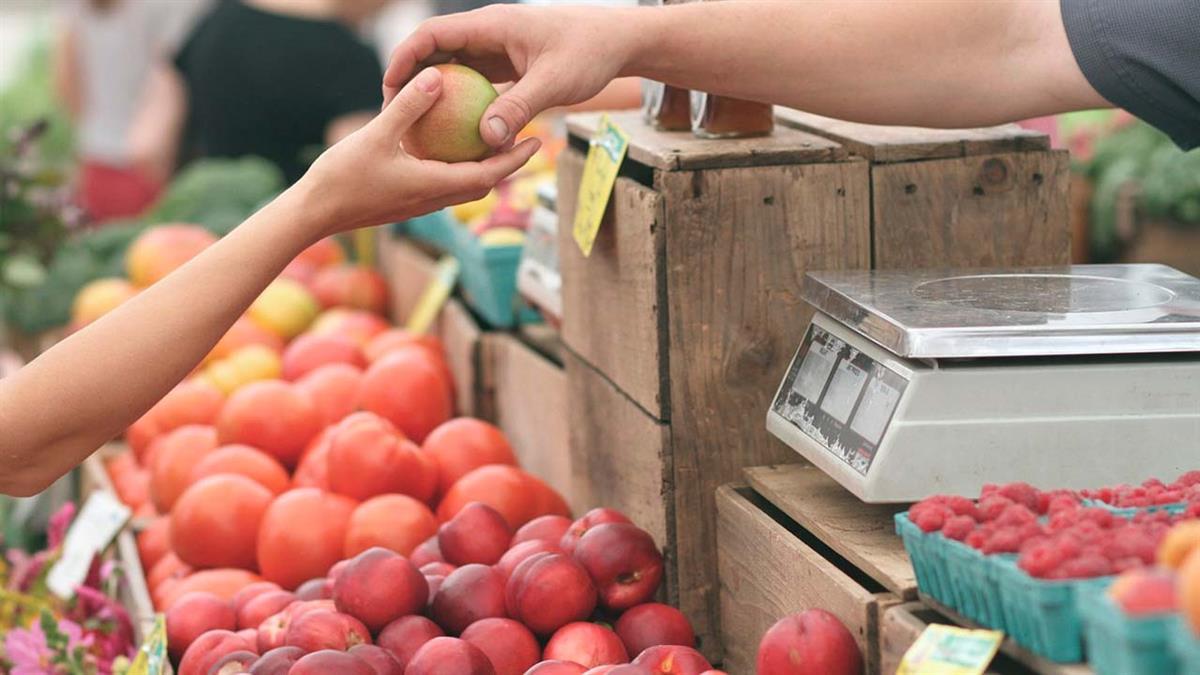 Este mercado itinerante con la mejor oferta agroalimentaria de la Comunidad de Madrid estará instalado en la Plaza de la Constitución el sábado 3 de 10:00 a 14:30 horas
