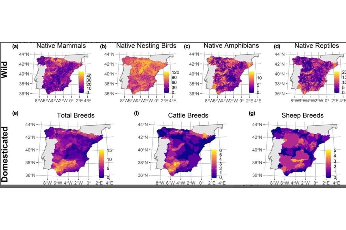 Un estudio de la UAH demuestra que esta interacción podría ser beneficioso para la conservación de los paisajes agrícolas