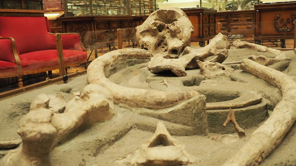 Una muestra cedida por el Instituto Geológico y Minero de España, que estará en el municipio durante todo mayo 