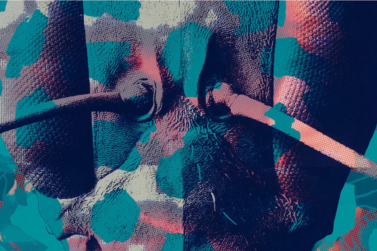 La muestra se inaugura este 19 de noviembre y se podrá visitar hasta el 14 de diciembre