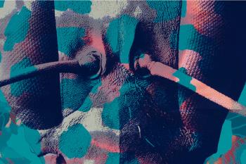 La muestra se inaugura este 19 de noviembre y se podrá visitar hasta el 14 de diciembre