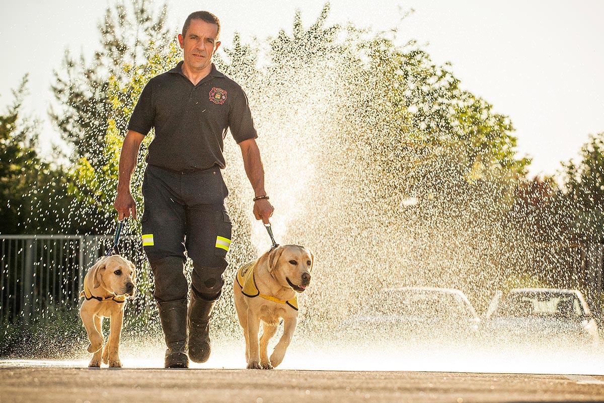 Más de 3.200 perros guías han sido entregados desde su creación