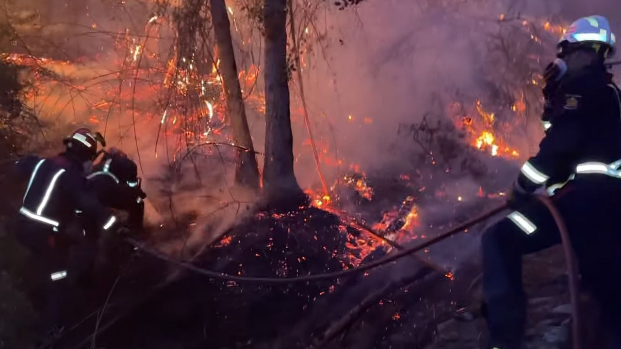 Los agentes del Servicio de Protección de la Naturaleza señalaran las causas del siniestro