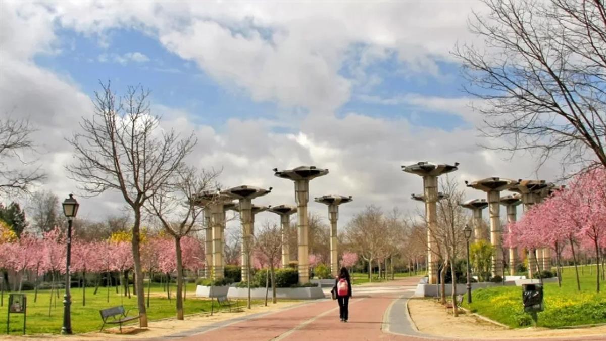 Súmate a esta iniciativa apagando todas las luces durante 60 minutos