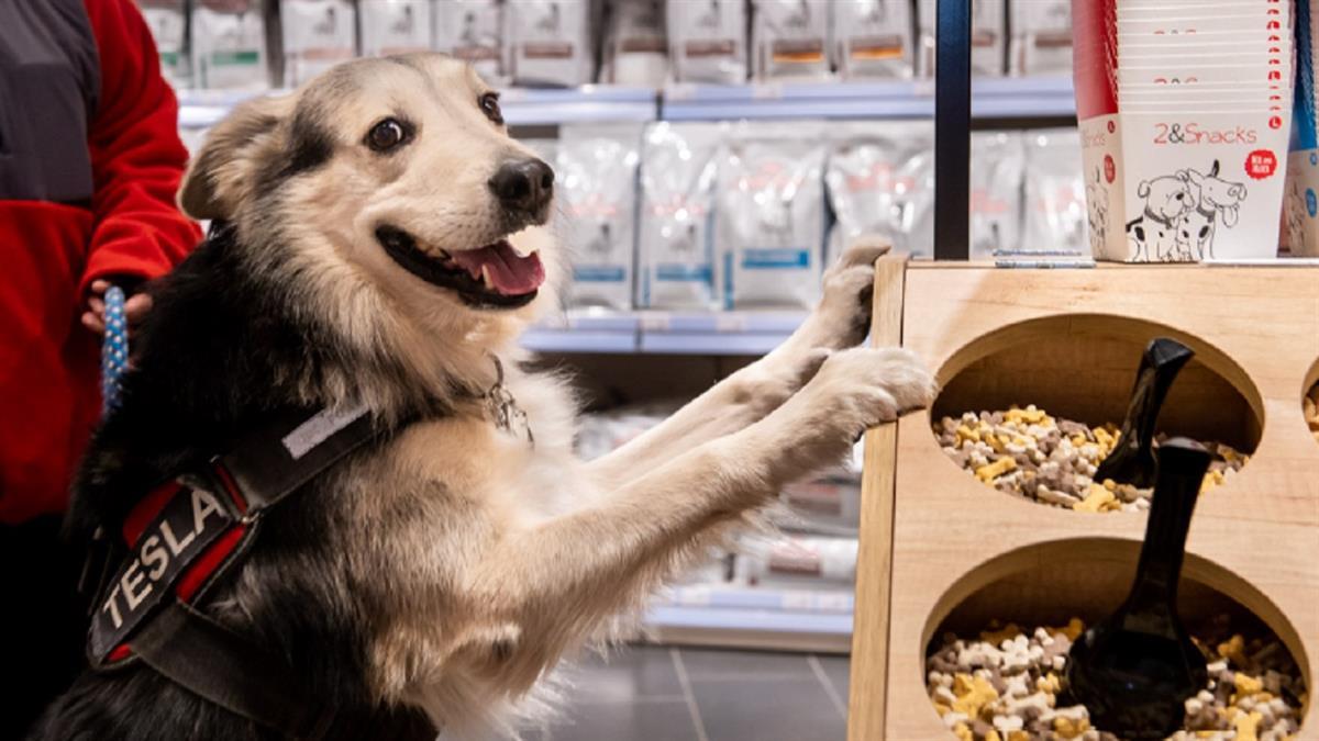 KIWOKO ha inaugurado este espacio de más de 1.400 m2 en plena calle Velázquez
