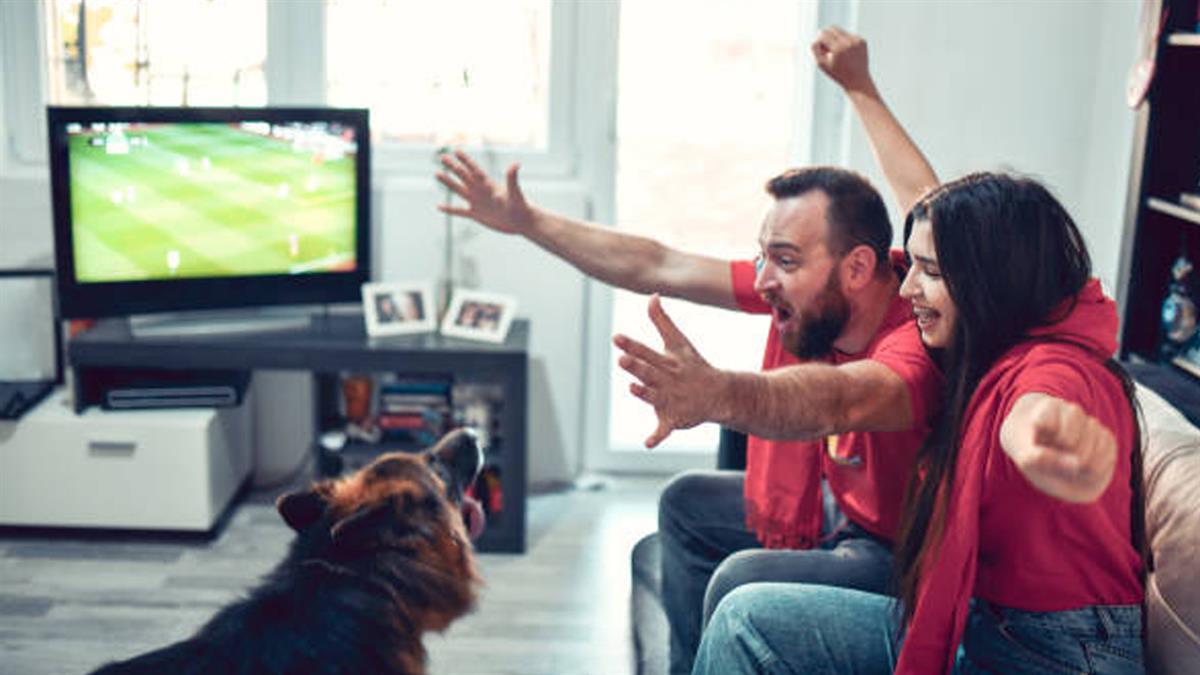 Cerveza, chips y accesorios de la selección española para disfrutar con nuestros amigos de cuatro patas del Mundial 
