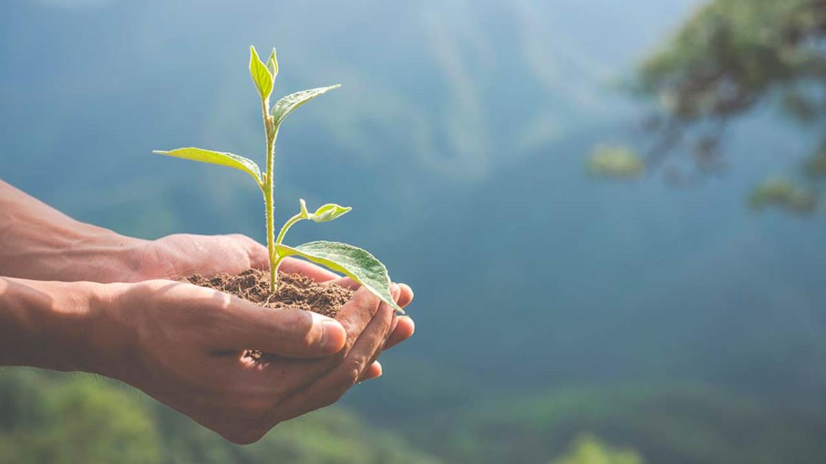 Cada vez existe un mayor compromiso con el Medio Ambiente entre la sociedad
