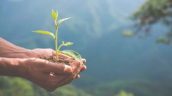 Cada vez existe un mayor compromiso con el Medio Ambiente entre la sociedad
